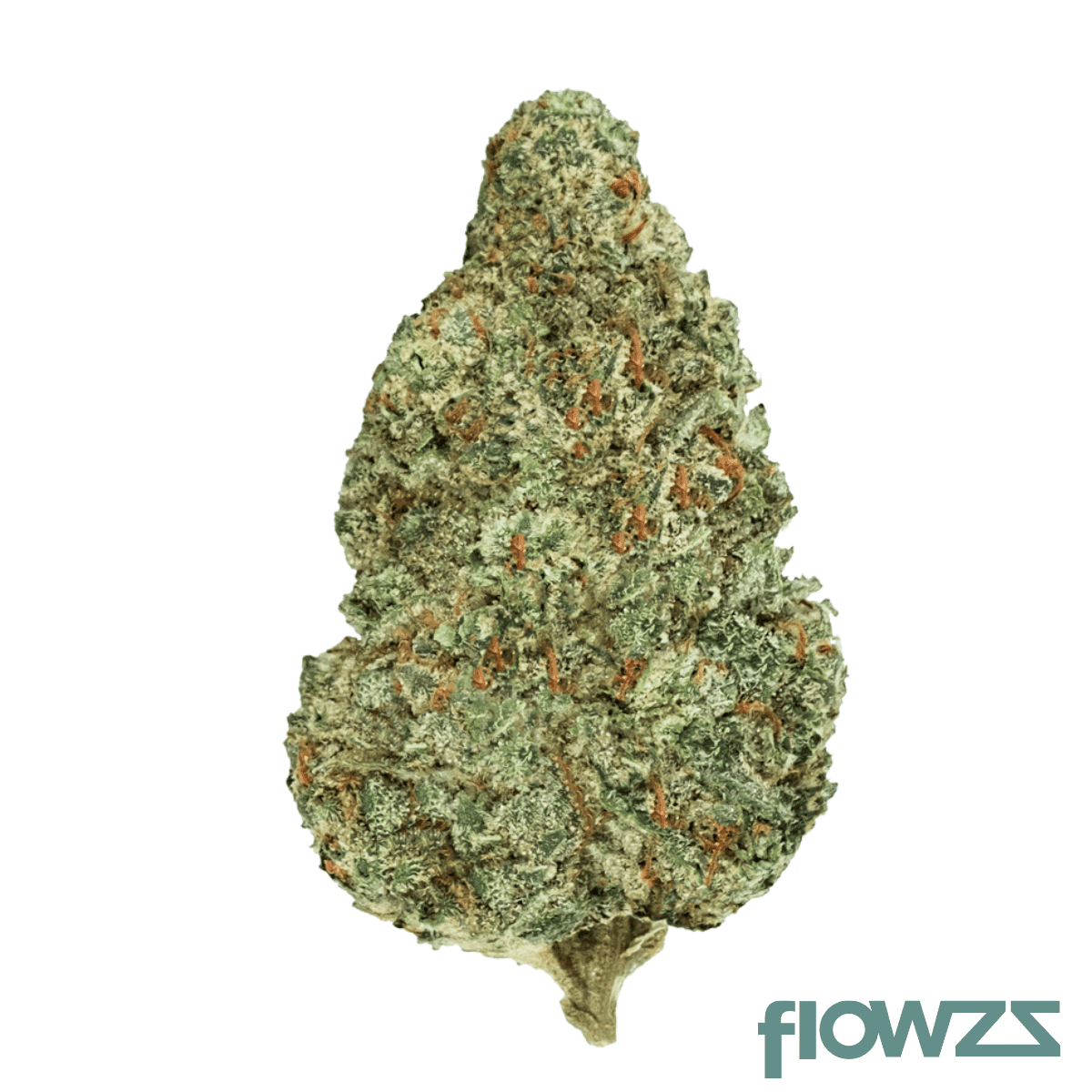 mgf-jurassic-deep-breath-22-1