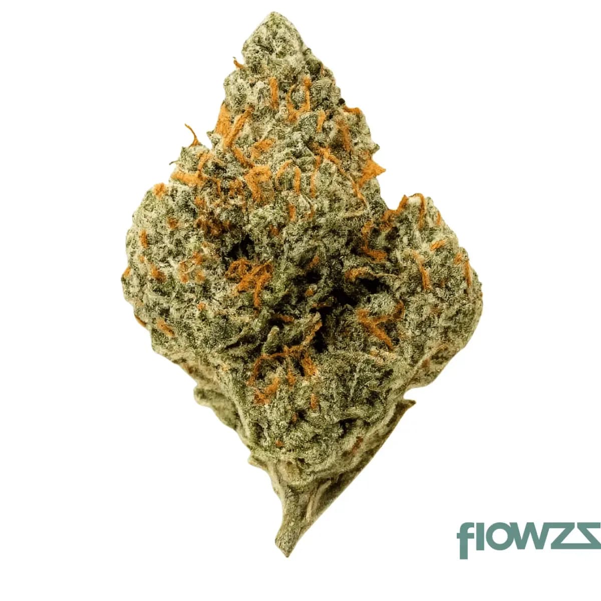 luana-kush-28-1-hippie-kush