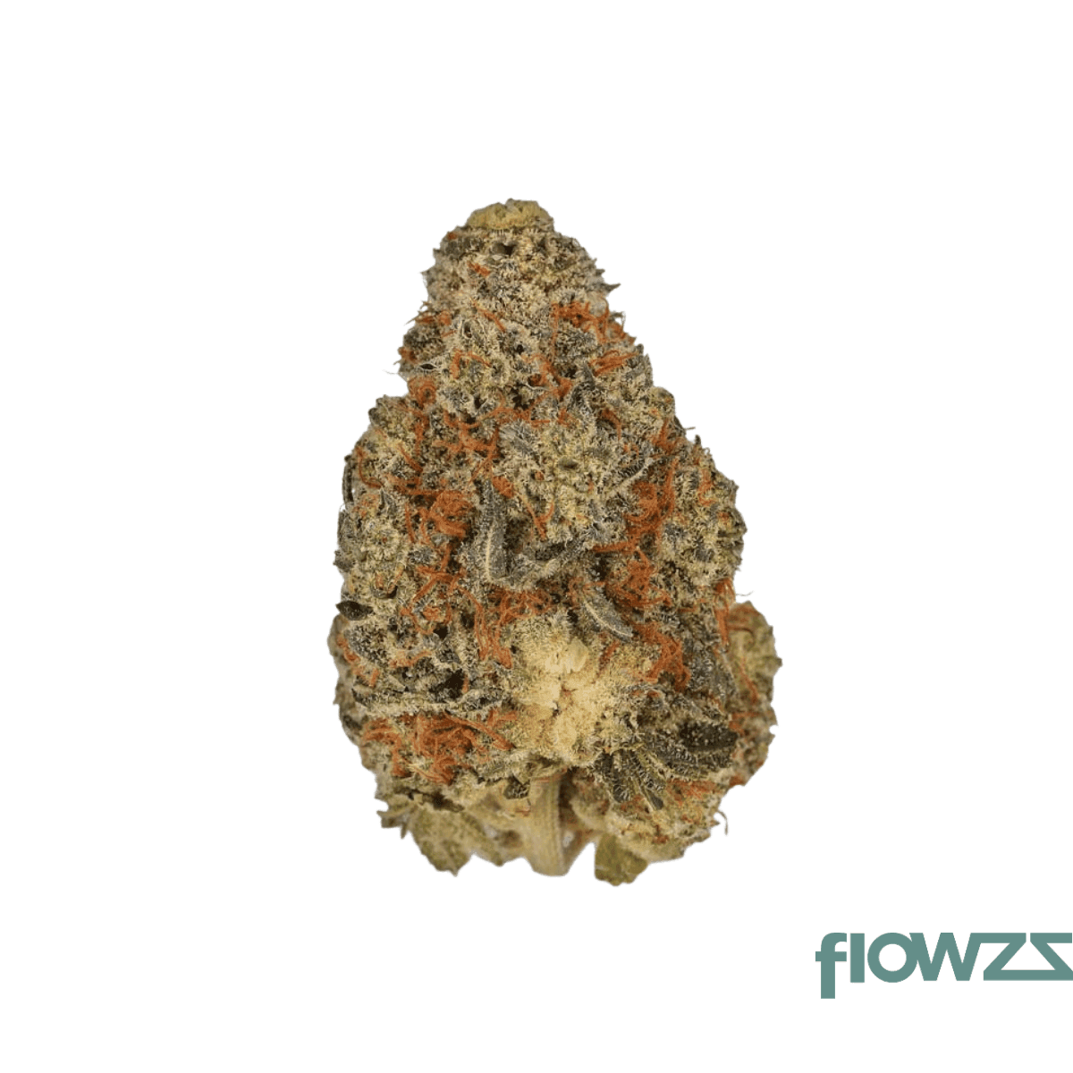 nimbus-easy-22-1-jet-fuel-apricot