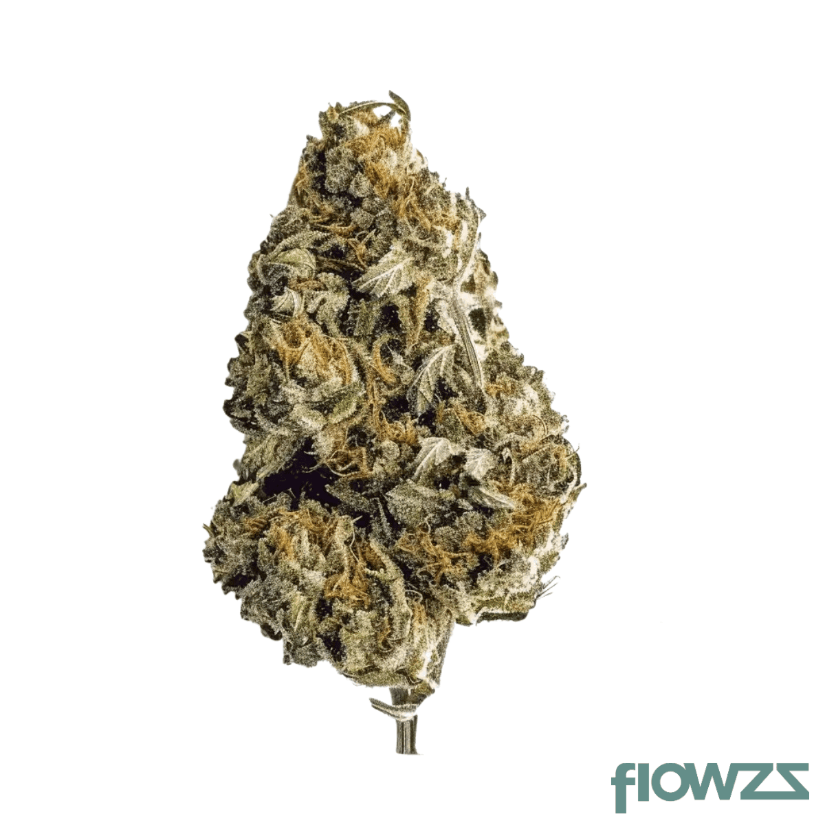 remexian-33-1-trf-chd-chemdawg