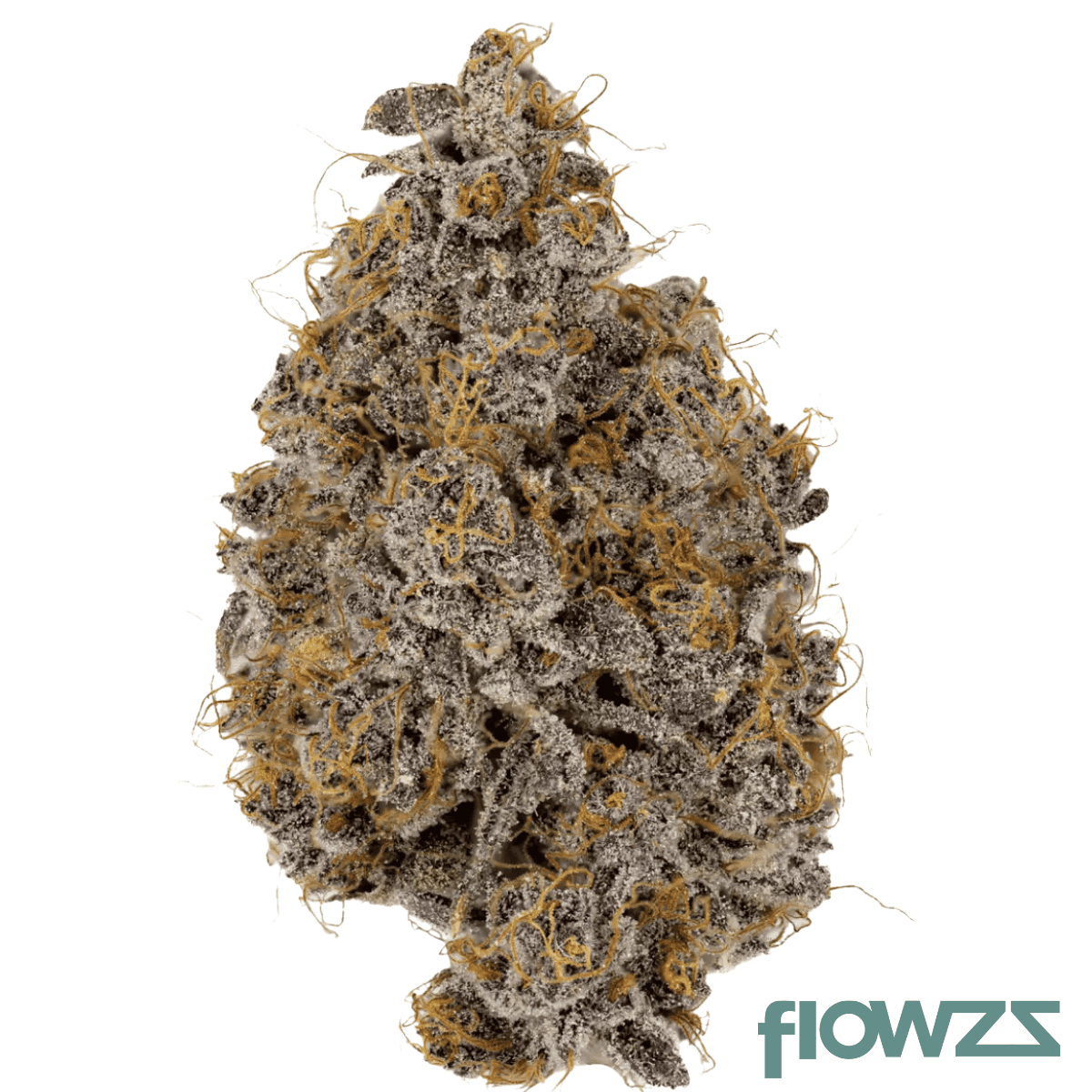 imc-dp-thc22-mids-deep-plum