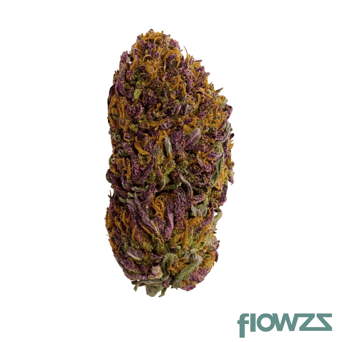 nice-26-1-cj-cap-junky