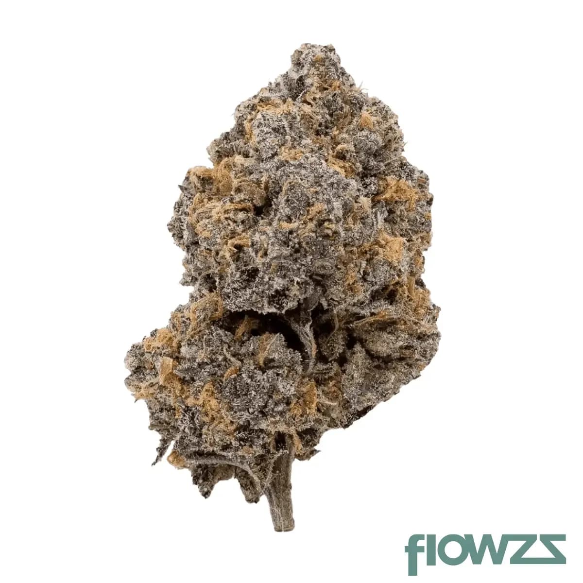 drwatson-26-df-aus-dafunk