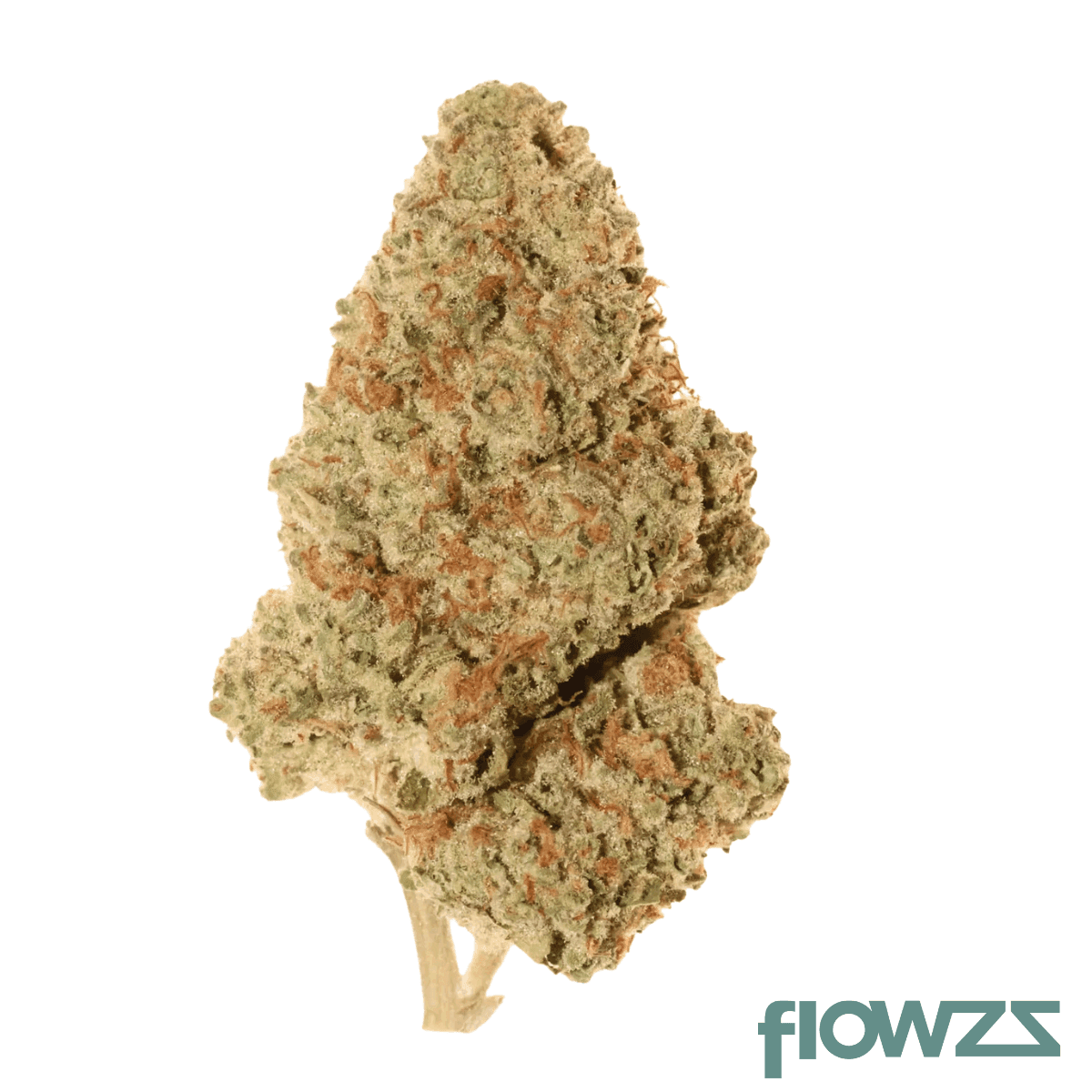 amp-zen-maw-thc22-maui-wowie