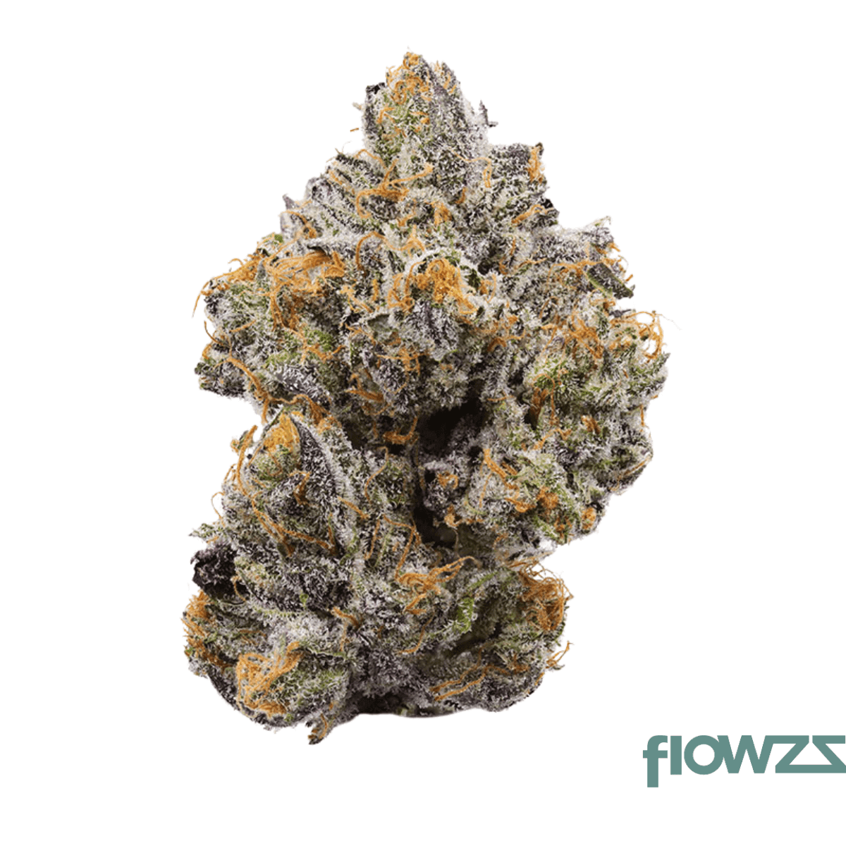 eufloria-27-1-mog-marshmallow-og