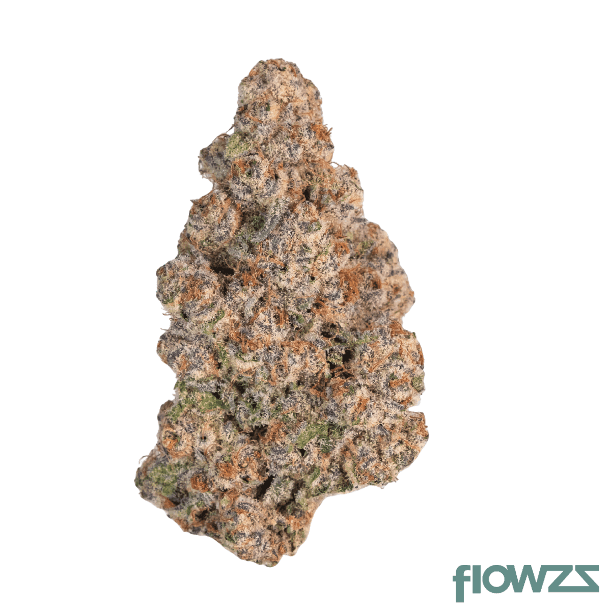 drwatson-16-sz-day-aus-sub-zero