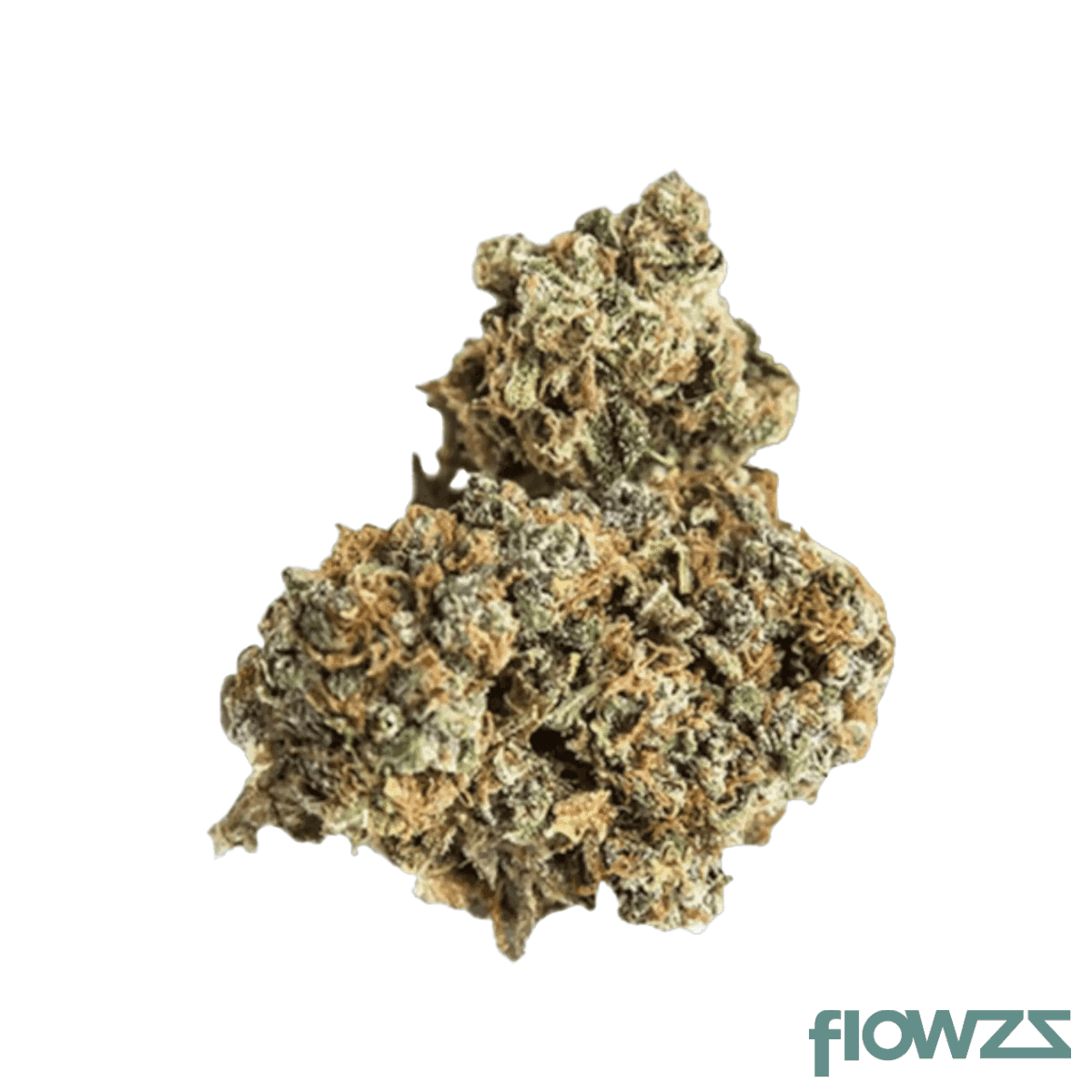 nice-29-1-bl-black-lime