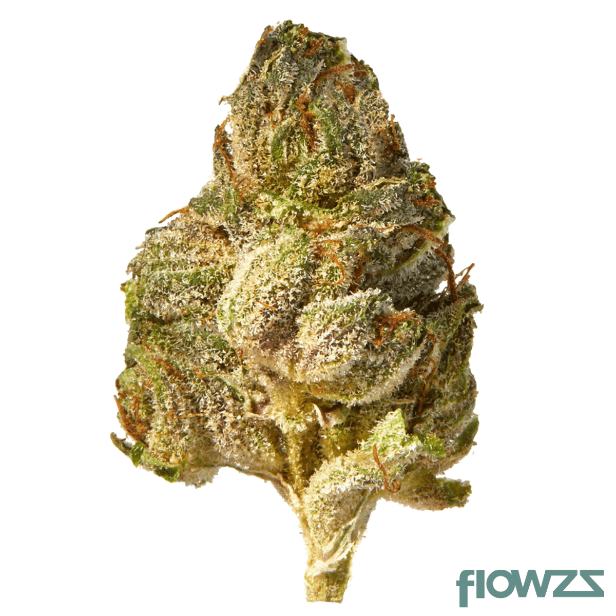 remexian-18-1-ota-pik-pink-kush