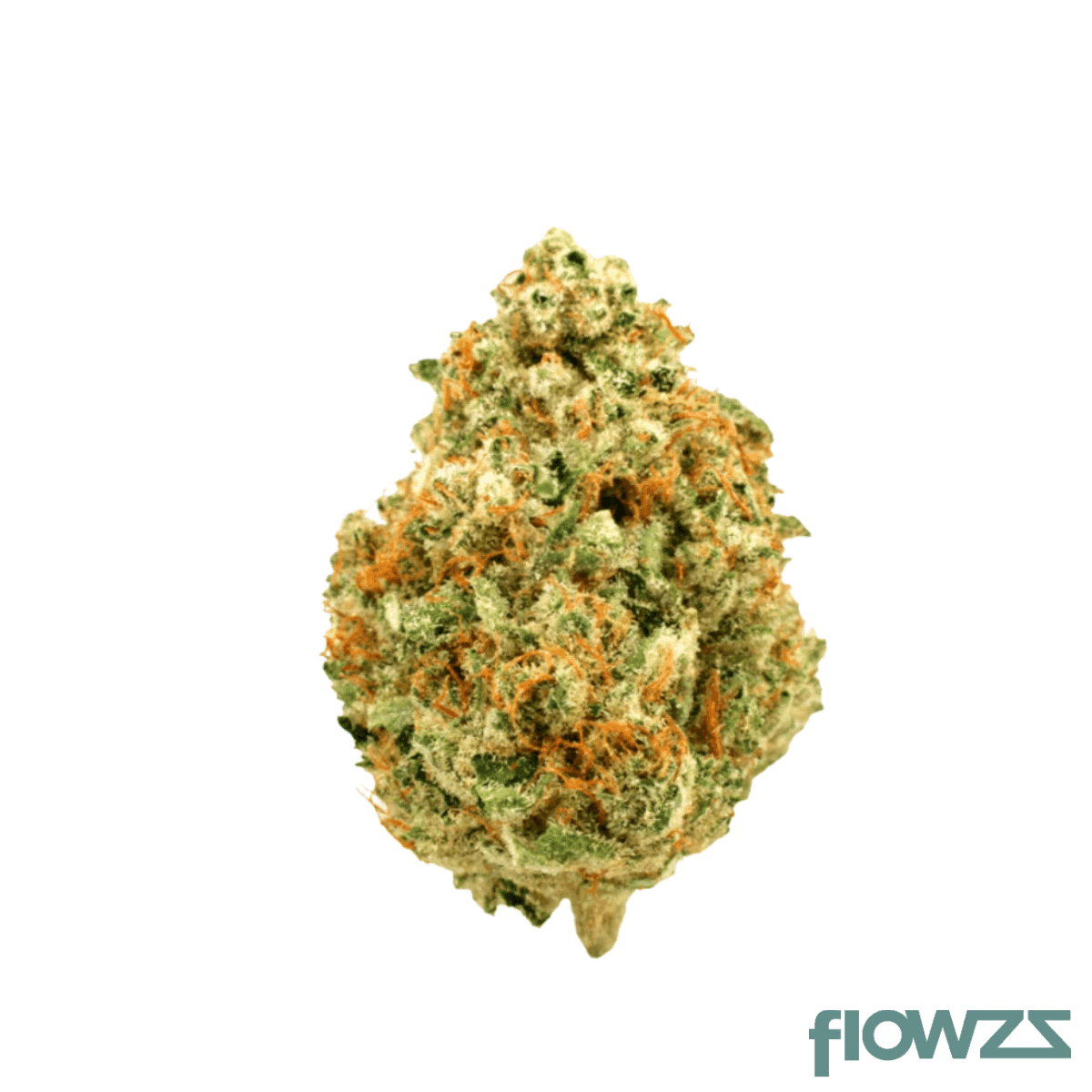 medical-saints-18-1-psy-psyclone