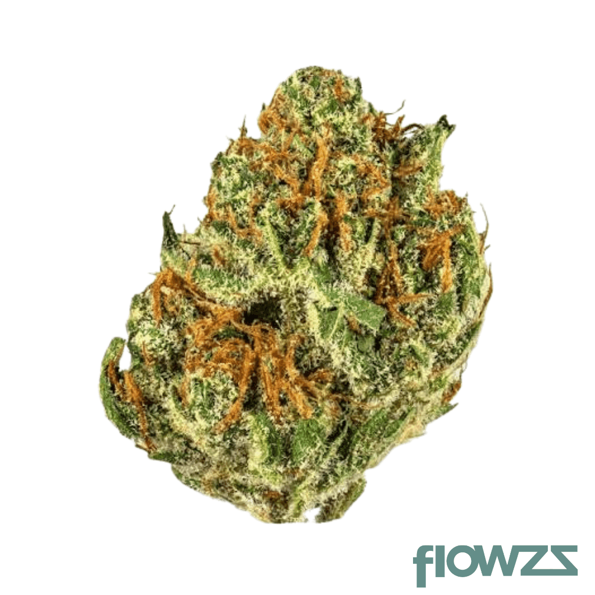update-28-1-oc-orange-creamsicle