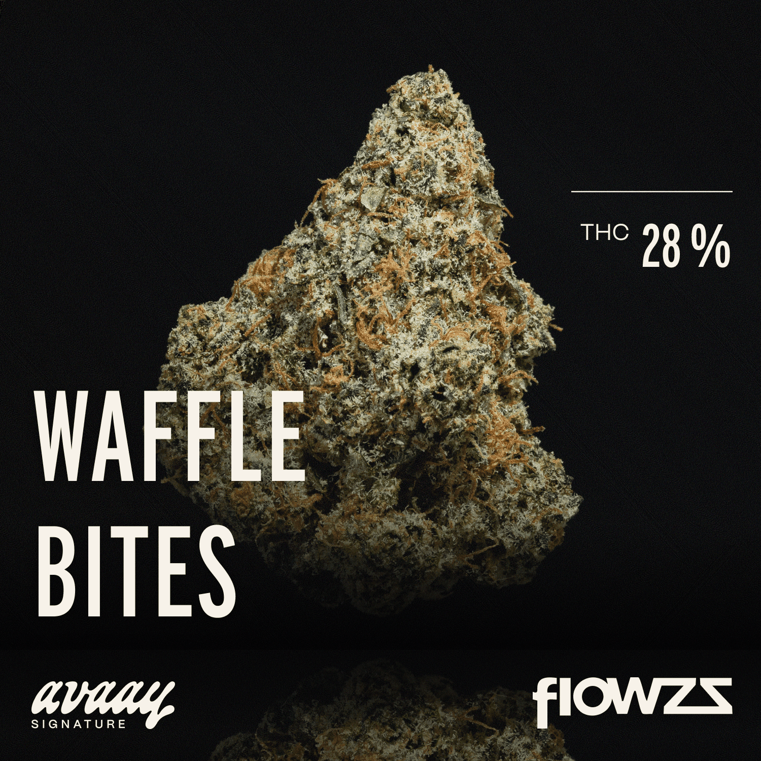 avaay SIGNATURE 28/1 WB Waffle Bites