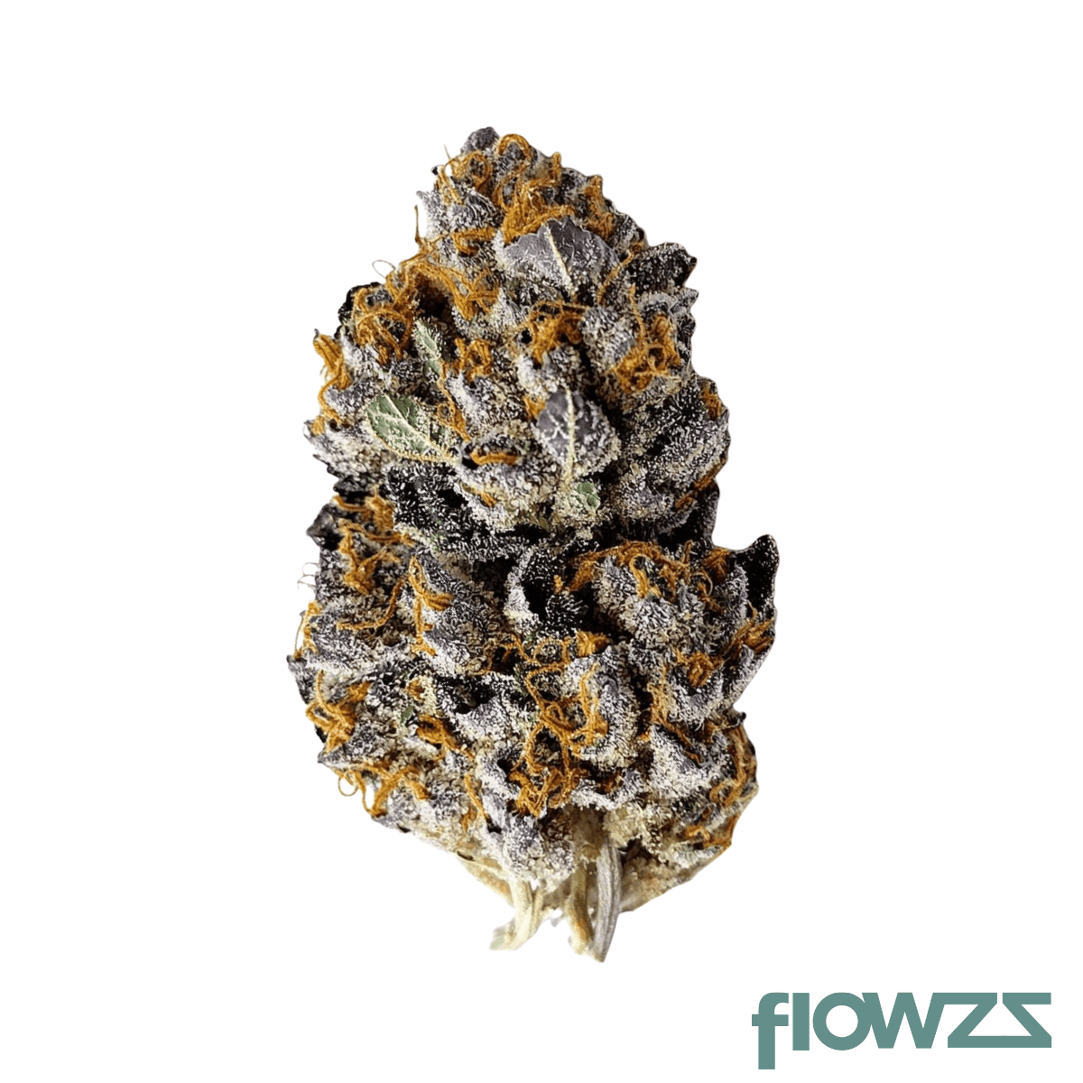 wellford-aeroponic-33-1-za-faz-facetz