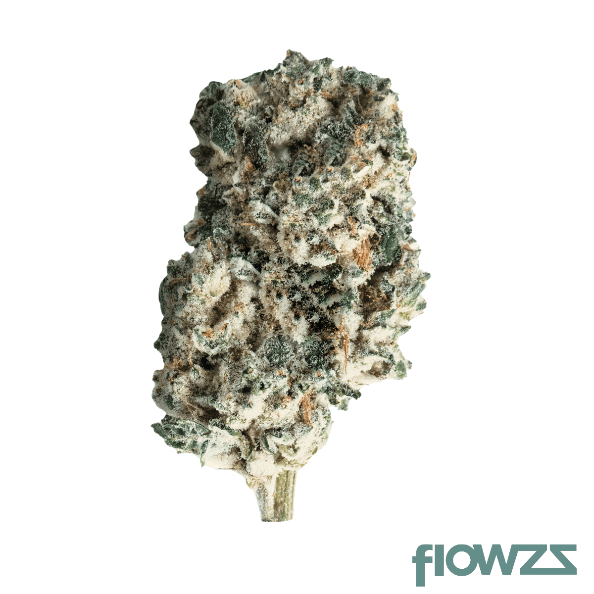 will-c-24-1-kub-kush-breath