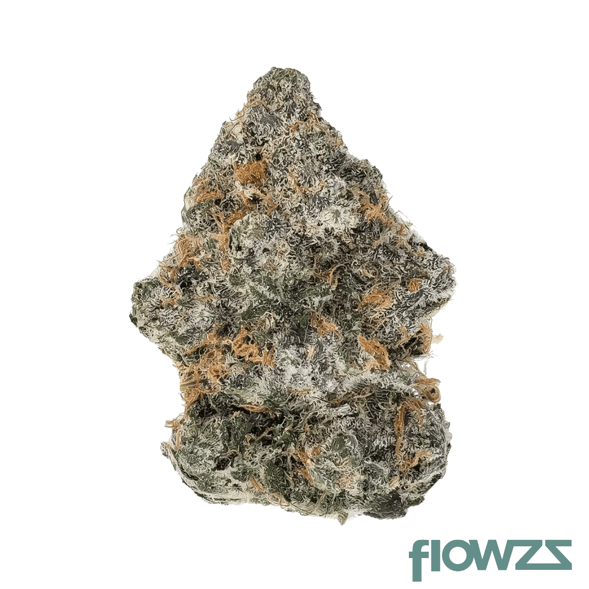 zoiks-22-1-bbh-bluebanger-haze