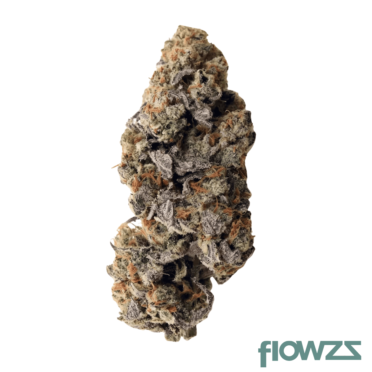 zoiks-26-1-blbc-black-berry-chai
