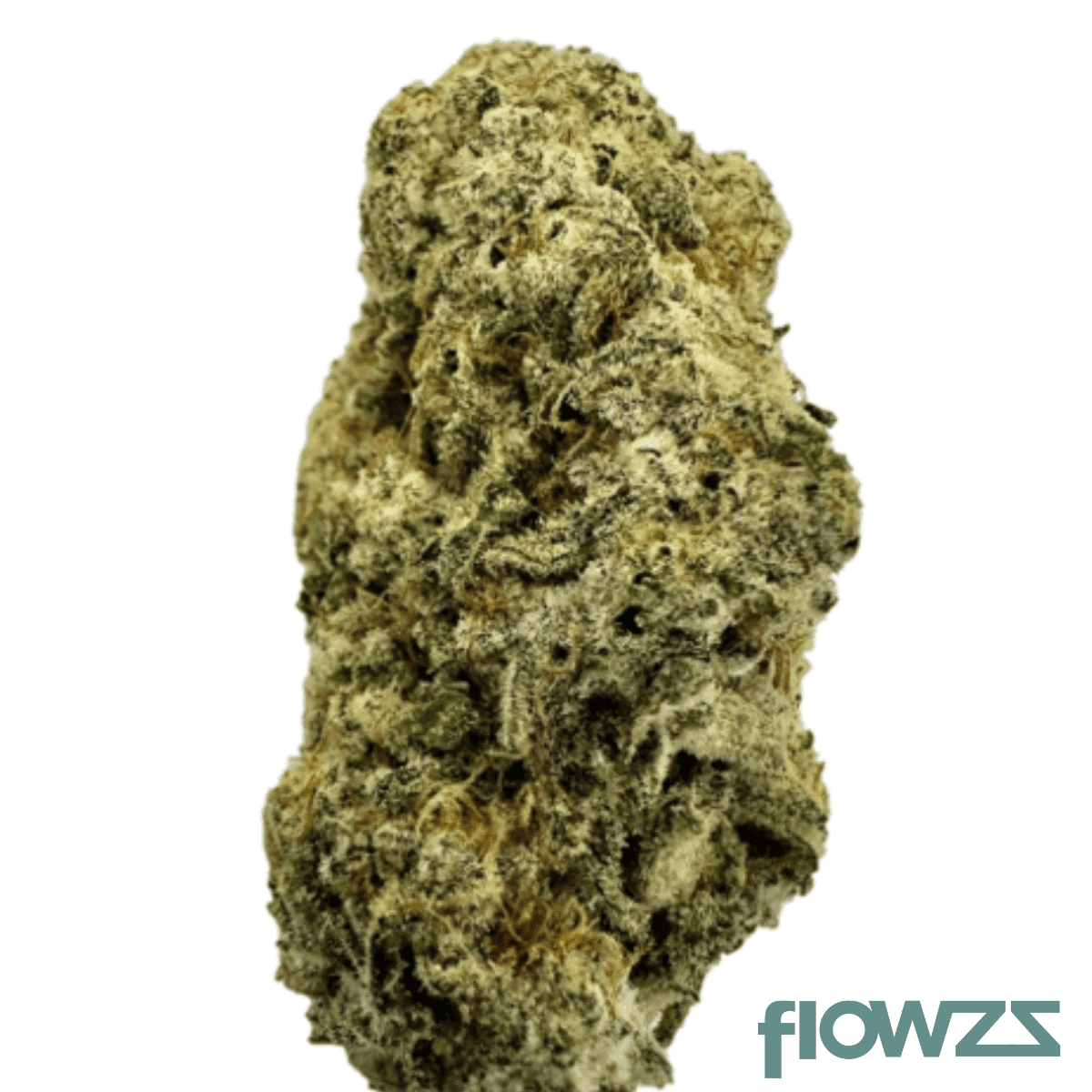 zoiks-22-1-alm-alienmax