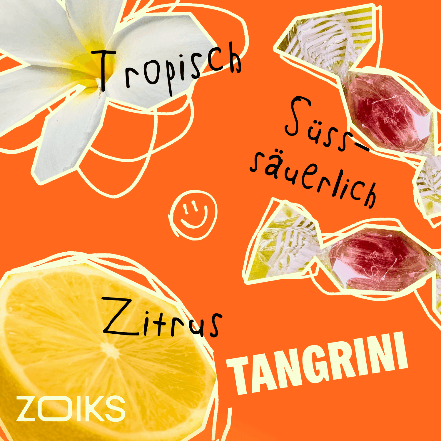ZOIKS 31/1 TG Tangrini