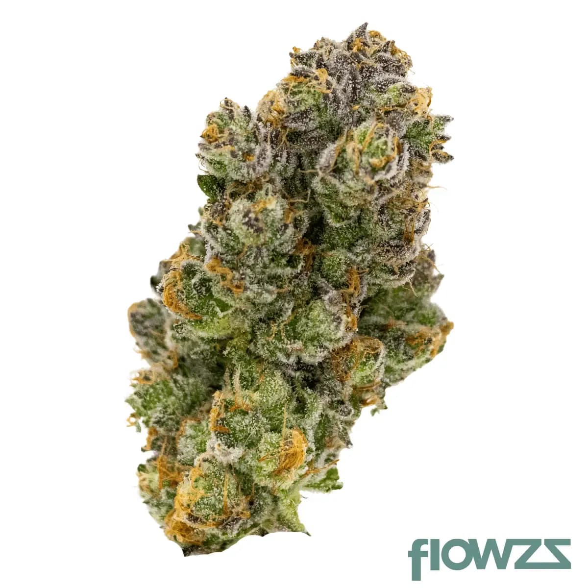 aleph-red-35-1-hokuzai