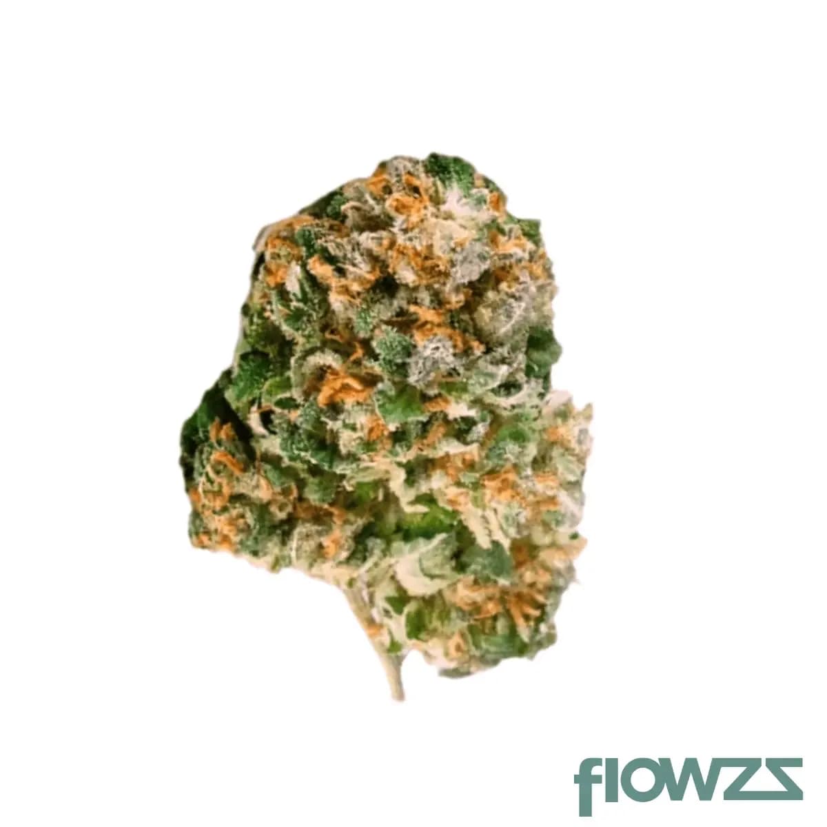remexian-33-1-hma-cca-cosmic-candy