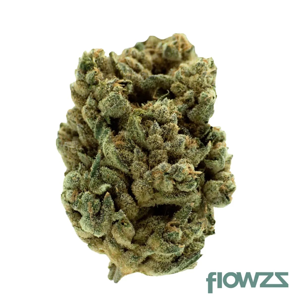 remexian-33-1-mtl-juc