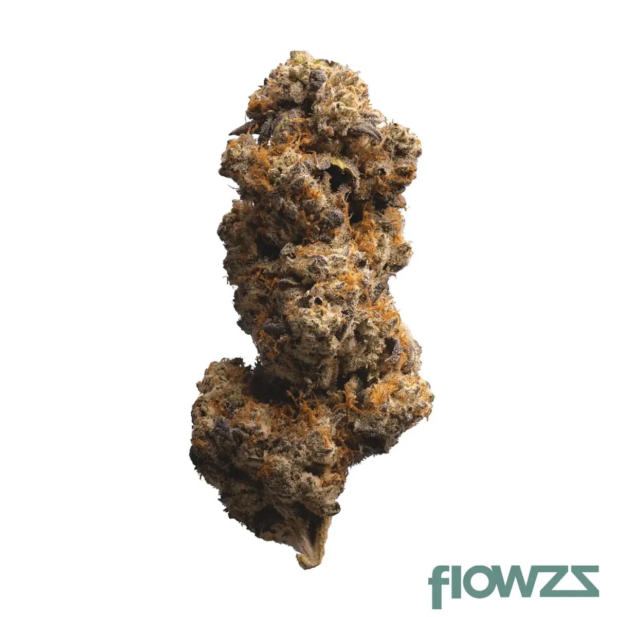 core-purple-twist-26-01-rs11