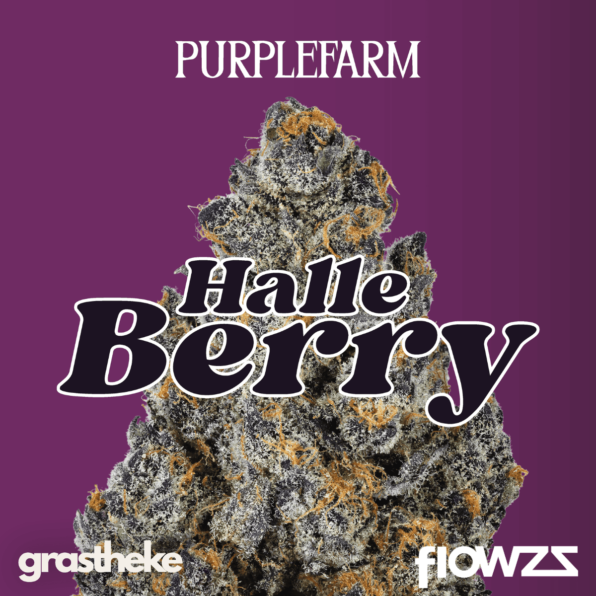 PURPLEFARM 28/1 HB Halle Berry
