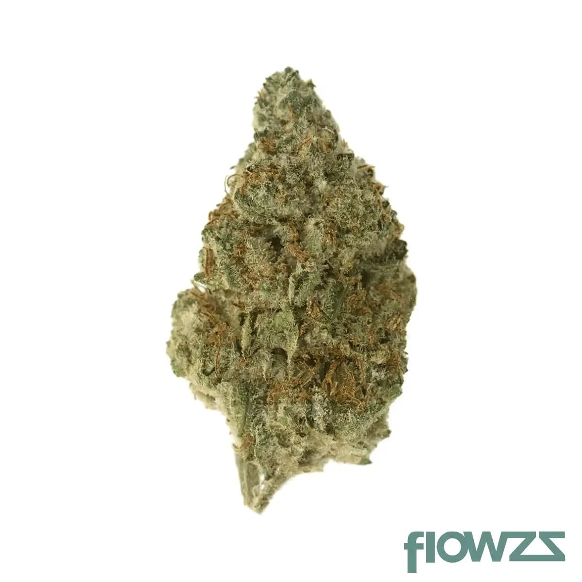 roxton-air-fc-21-1-frosted-cookies