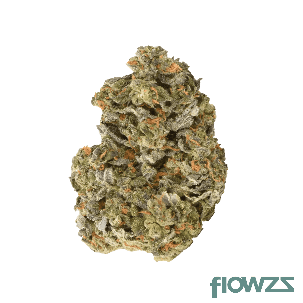 remexian-21-1-chr-cib-citrus-bowl