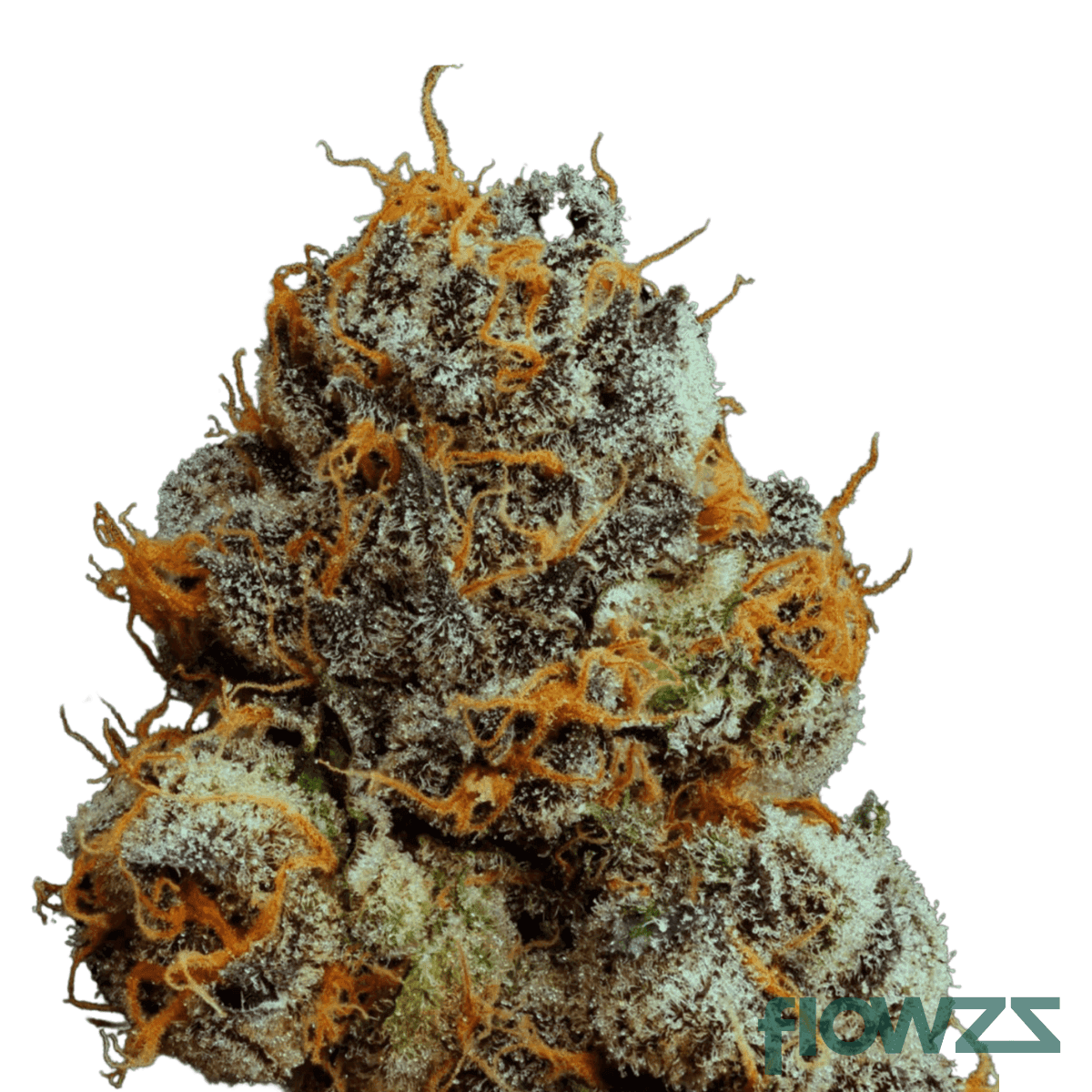 zkittlez-x-sherb-bx1-x-permanent-marker