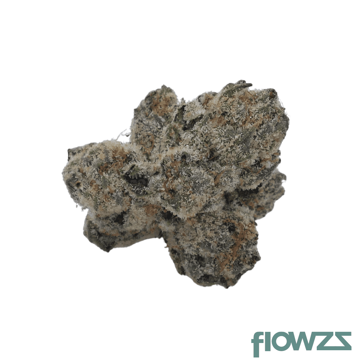 barongo-26-1-sss-sunset-strudel