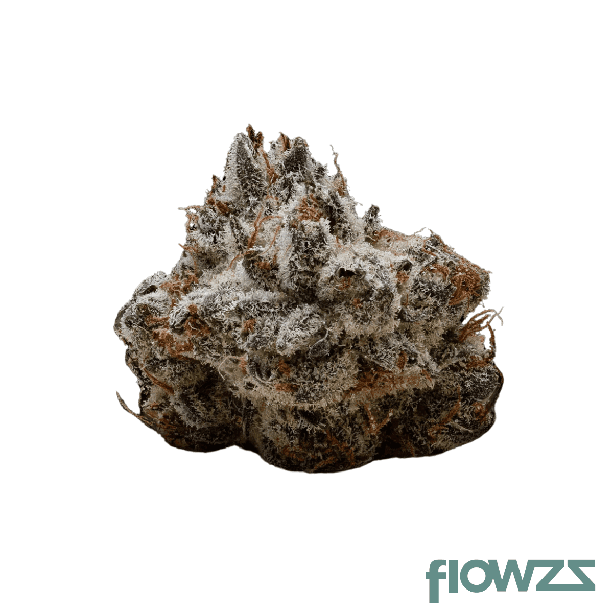 mgf-lambo-diablo-22-1-el-chivo