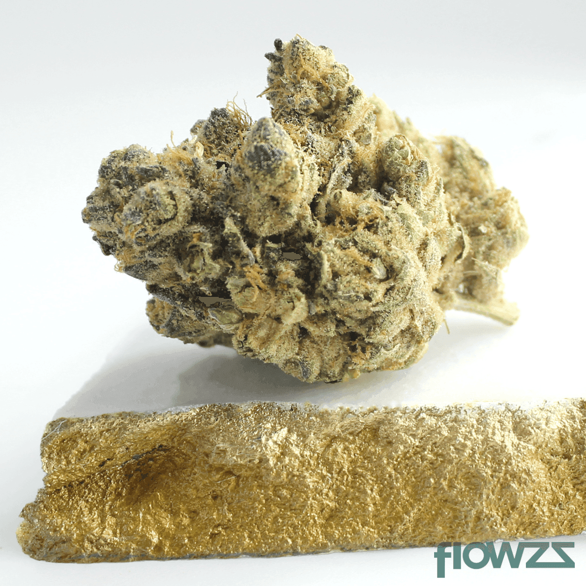 gruenhorn-cpc-25-1-cappuccino