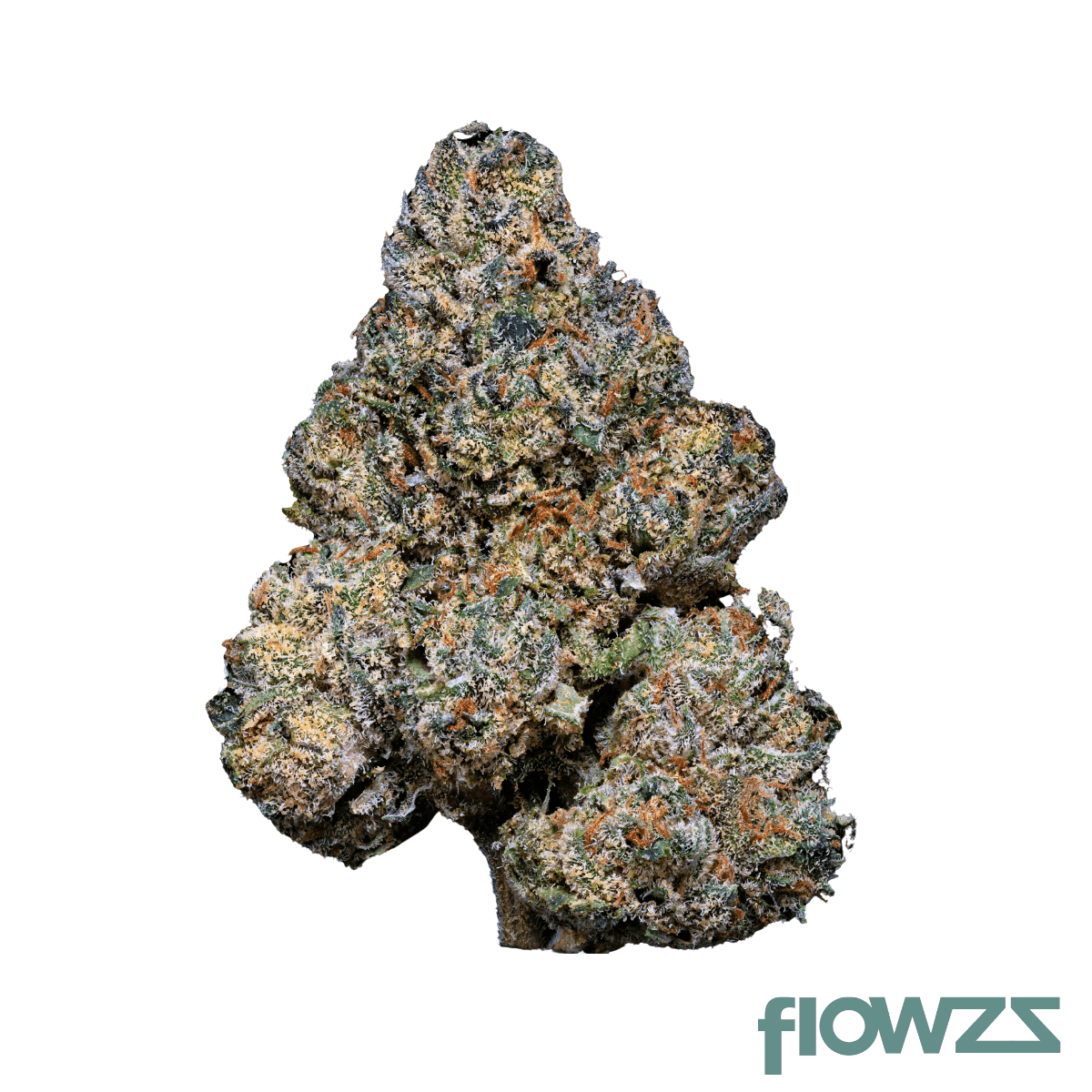 24-1-amici-gb-godberry