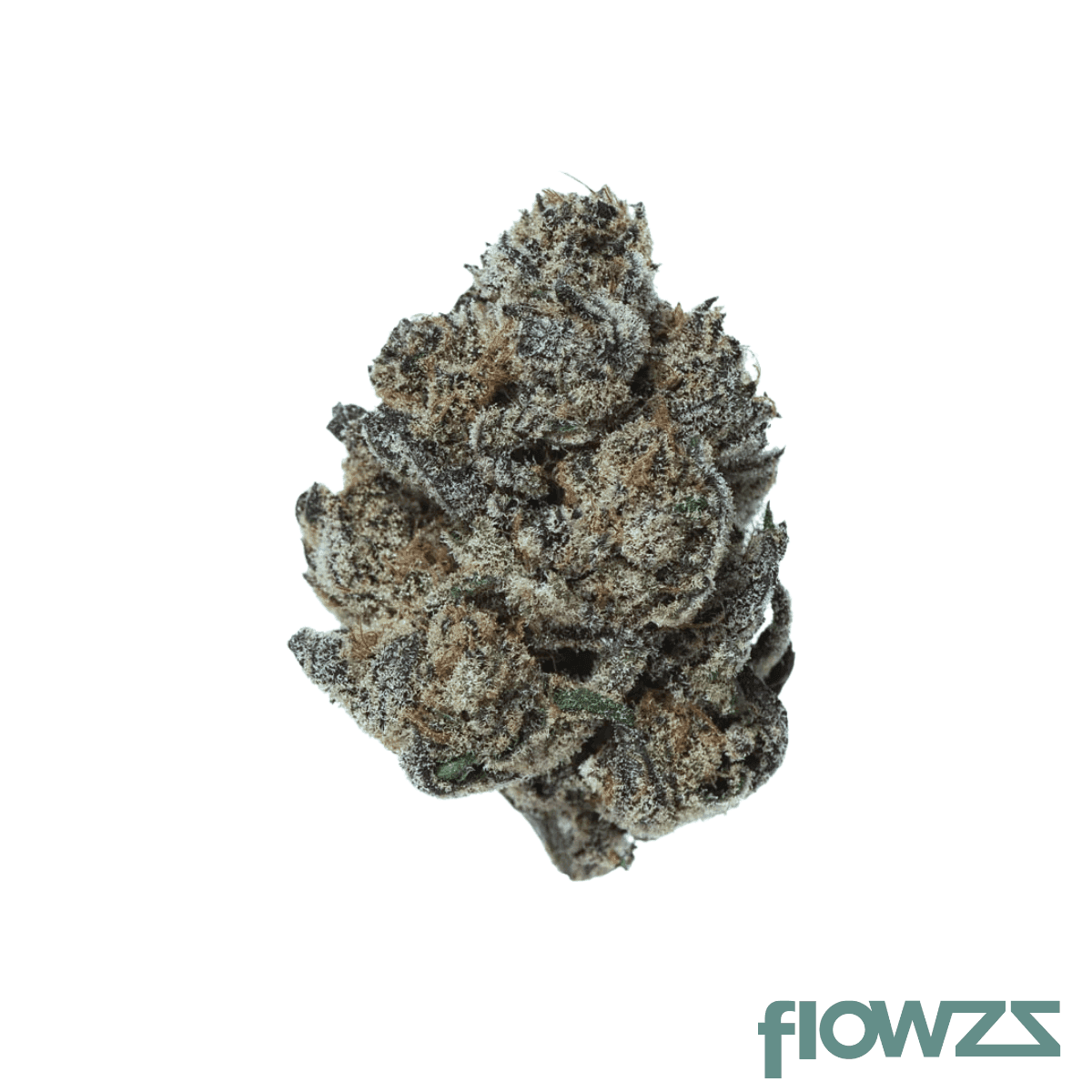 remexian-24-1-mcs-cgr