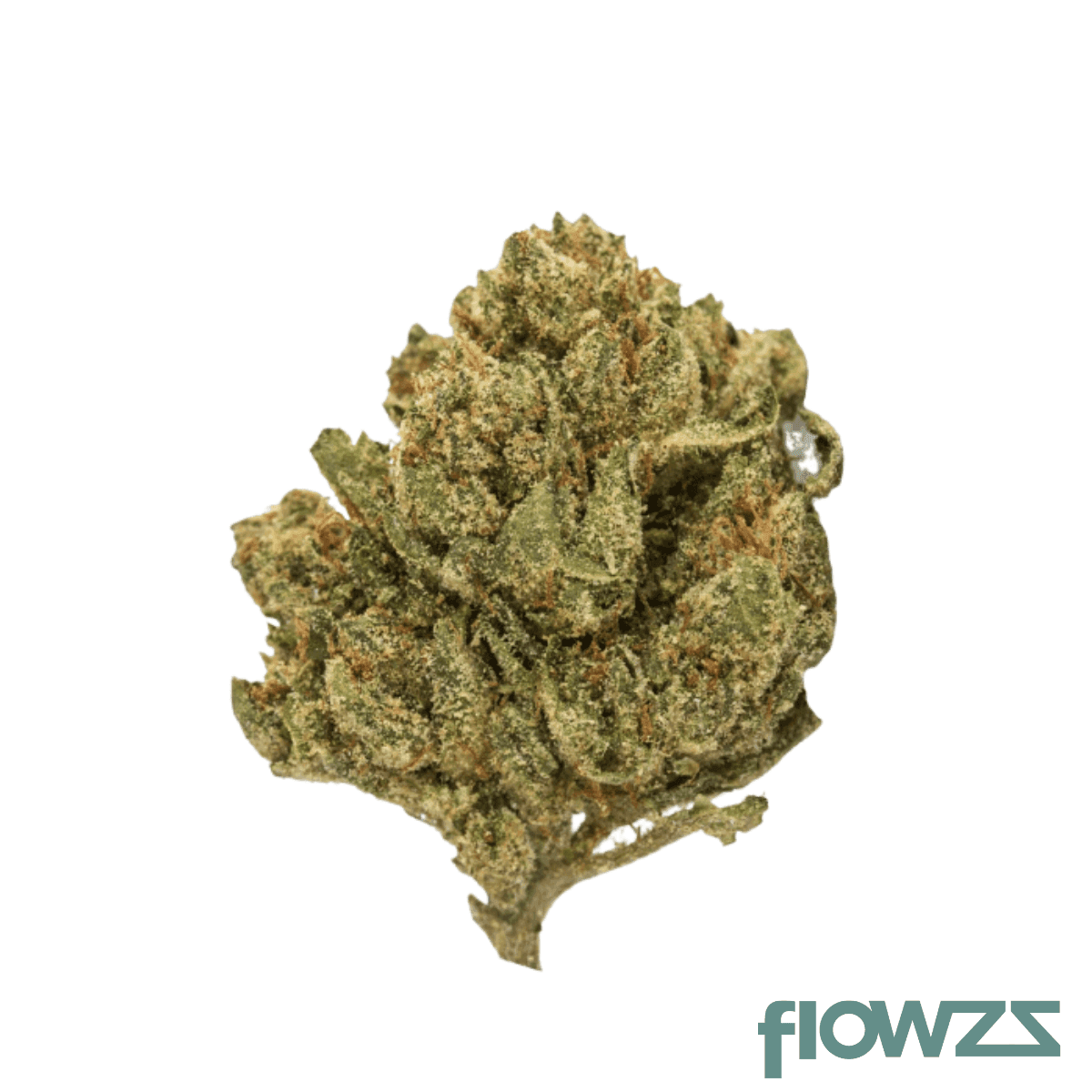 tangerine-punch-flower