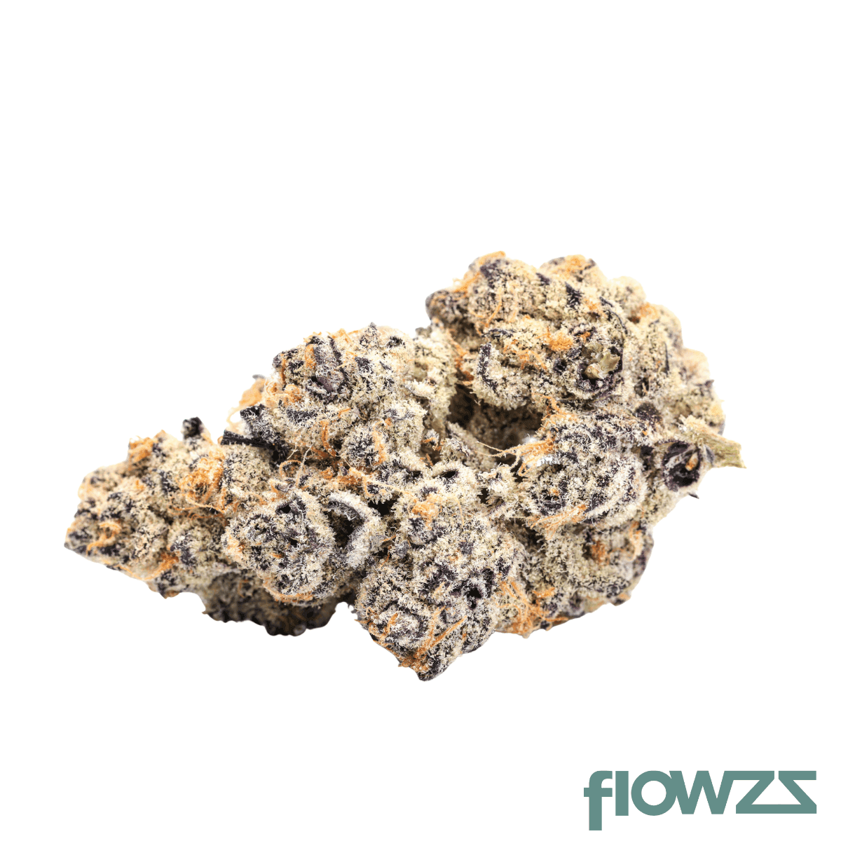 31-1-amici-sun-sweet-unicorn-nugz