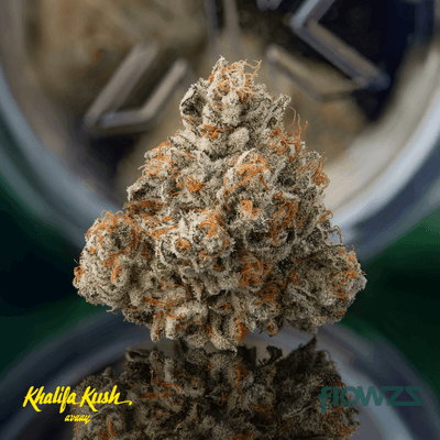 avaay-khalifa-28-1-km-khalifa-mints_gal1