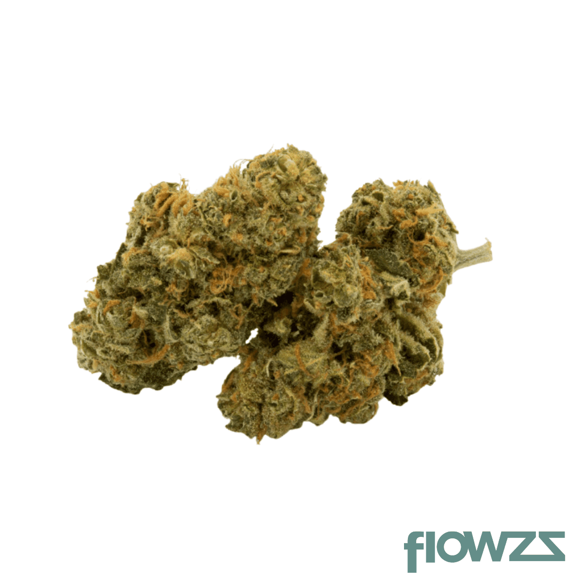 mecann-19-1-jack-herer