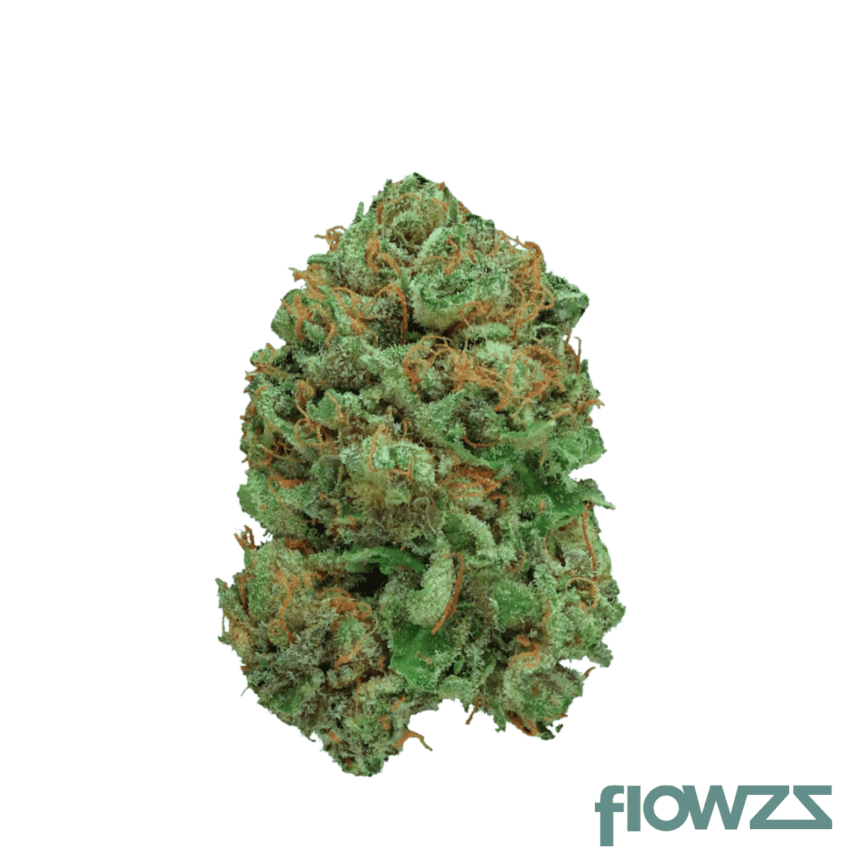 canify-cannabis-flos-20-1-csf-ku-bashengo
