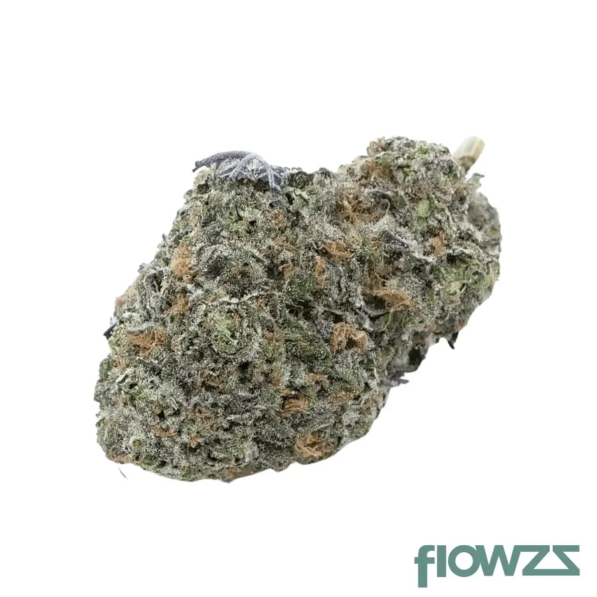 madrecan-18-1-puc-minis-punch-cake