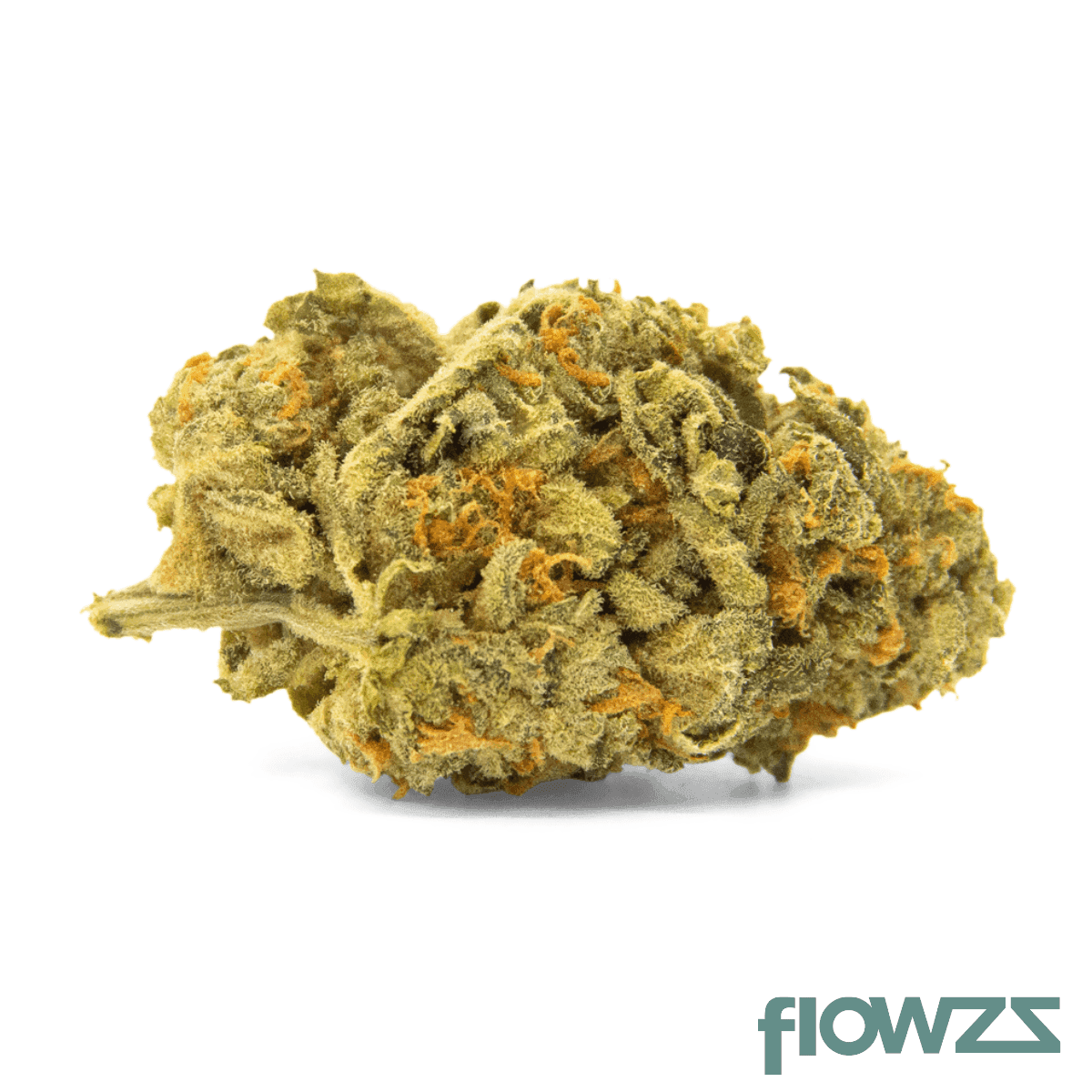 cookies-25-1-ram-rainbow-amnesia