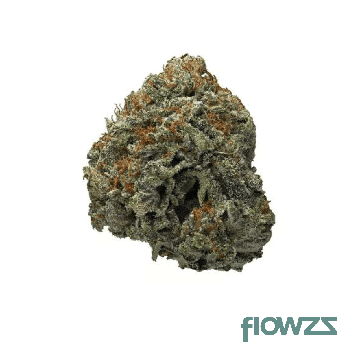 imc-thc22-t06-black-russian