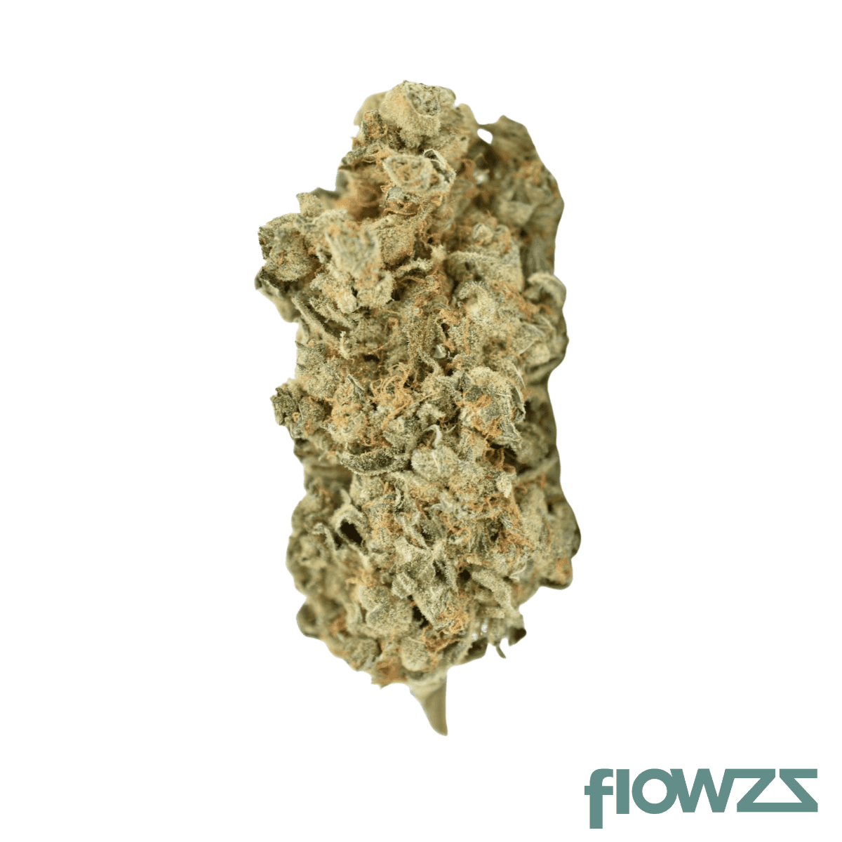 cannabistada-ved-27-ventura-dawg