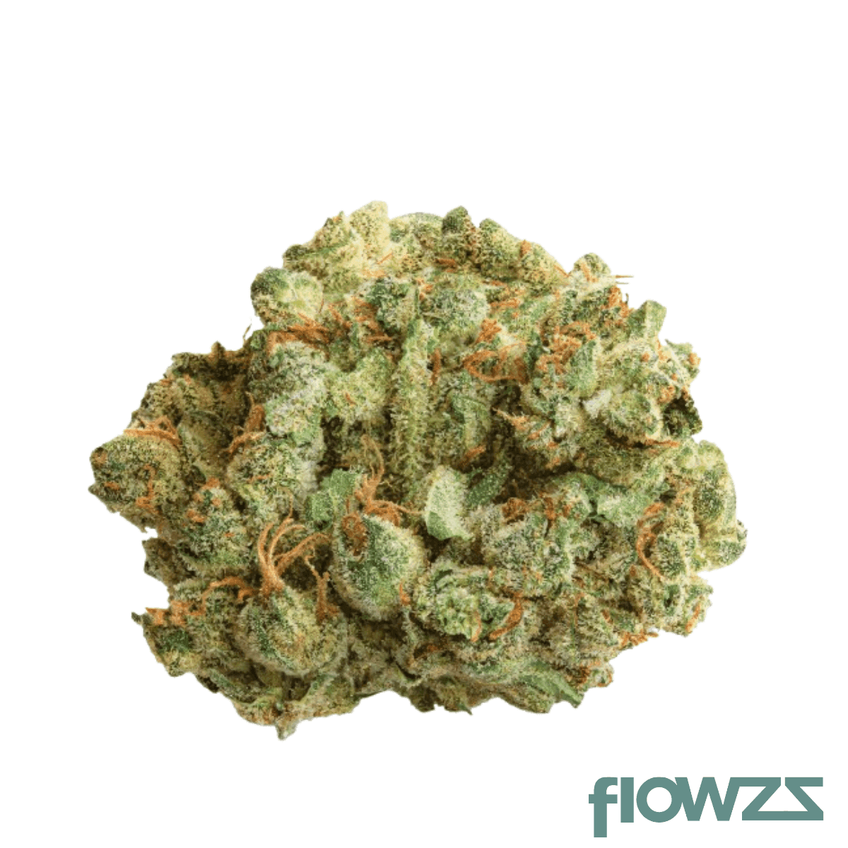 27-1-nice-cb-cocoa-bomba