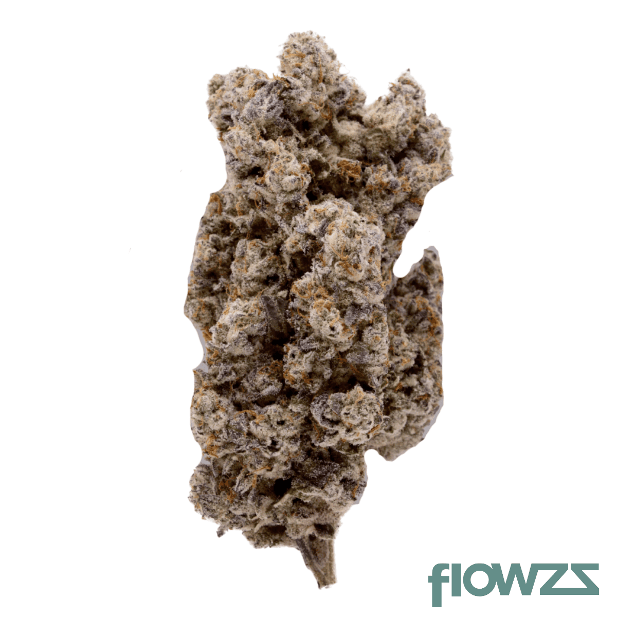 remexian-33-1-vcc-gwa-g-wagon