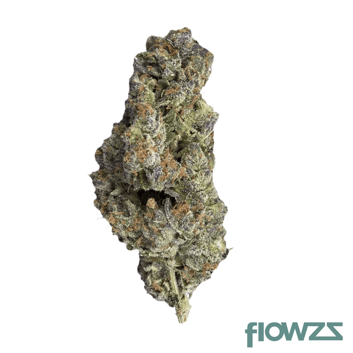 420-evolution-22-1-ca-pld-plum-driver