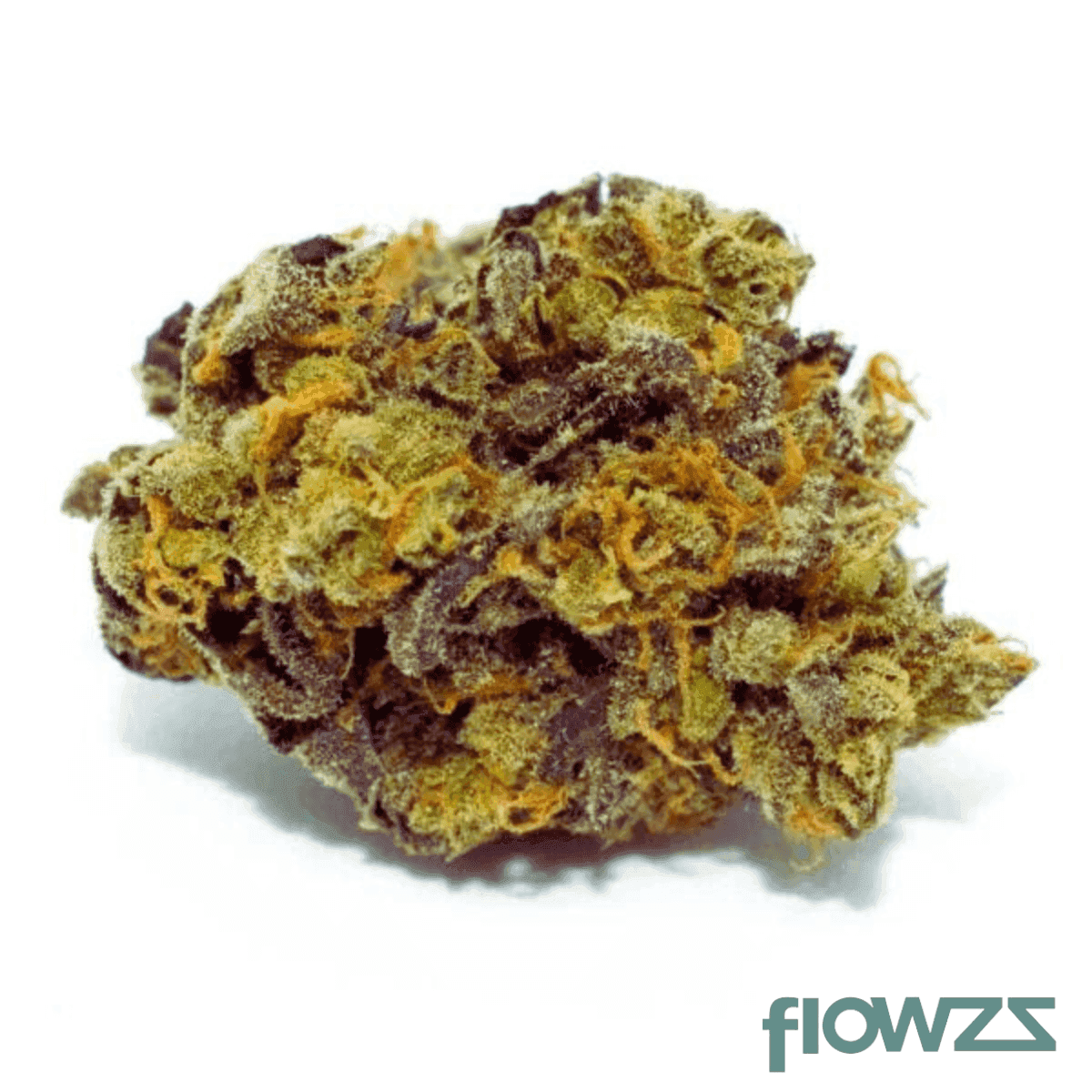 nice-22-1-tc-tropicana-cookies