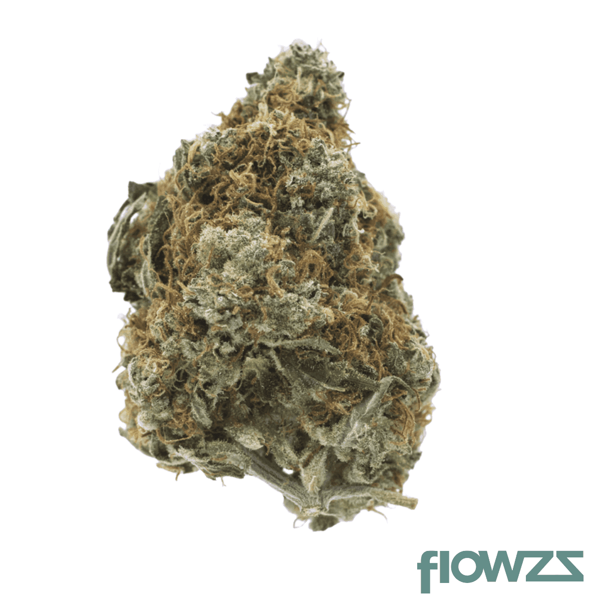 bc-green-20-1-cpc-cappuccino