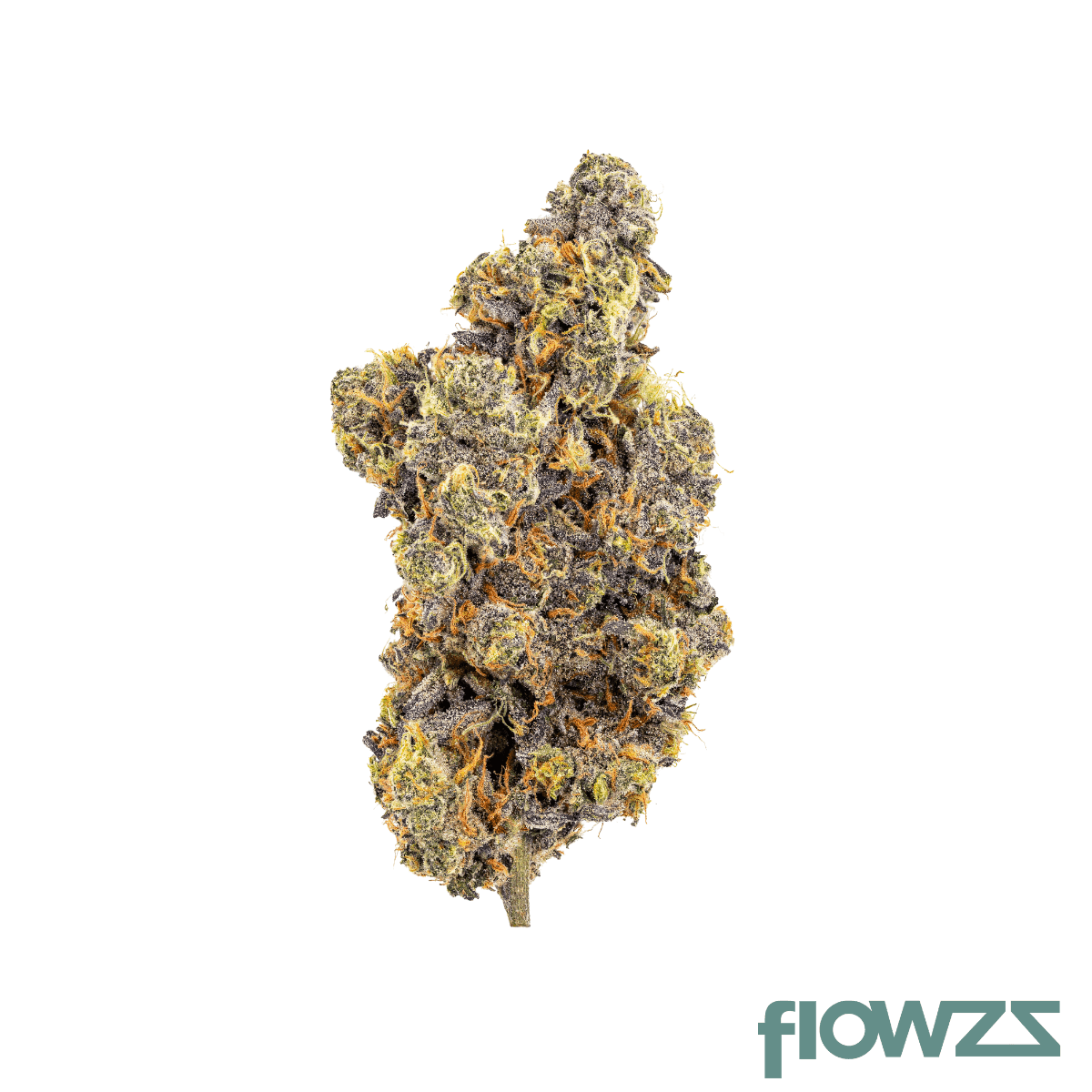 organic-sweetgrass-mcc-25-1-mint-chocolate-chips