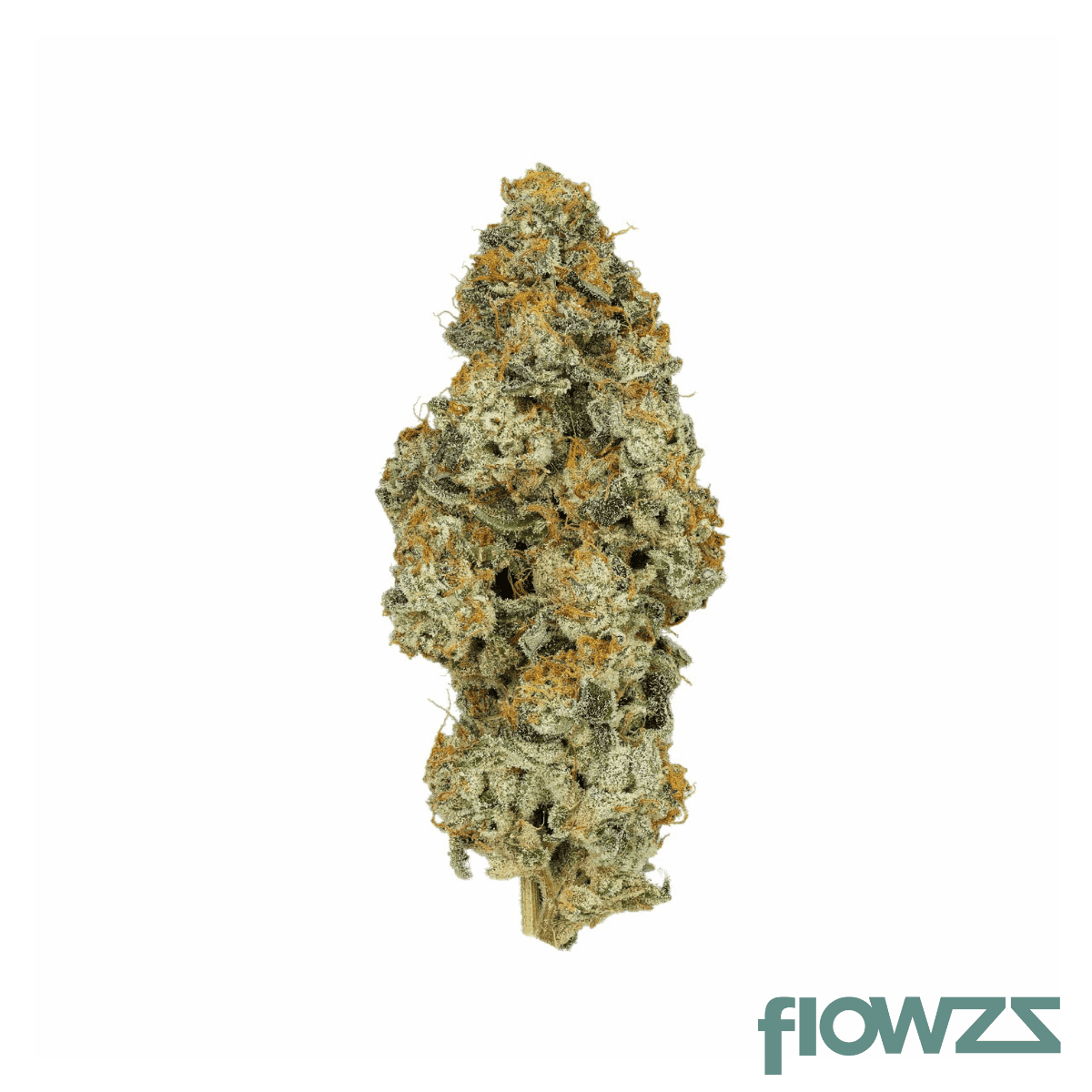 cannamedical-cm-27-1-po-platinum-oranges